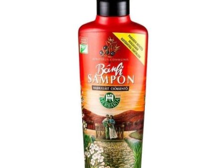 Banfi Sampon oczyszczający szampon do włosów 250ml Online Hot Sale