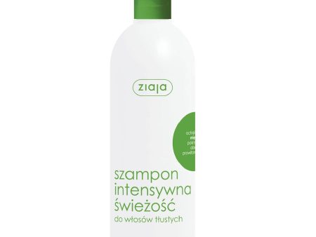 Szampon intensywna świeżość do włosów tłustych 400ml Discount