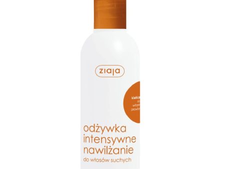 Odżywka intensywne nawilżenie do włosów suchych 200ml Discount