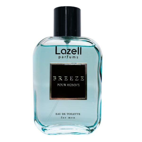 Breeze Pour Homme woda toaletowa spray 100ml Discount